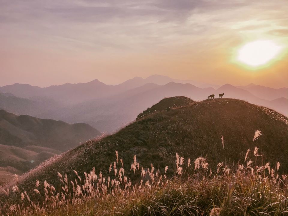 binh-lieu-dulichchat