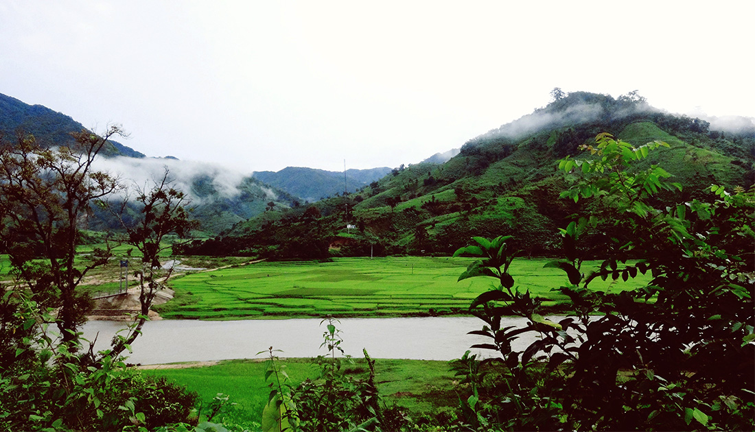 măng đen 4