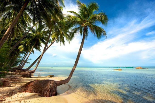 bai-sao-phu-quoc-e1506329625499