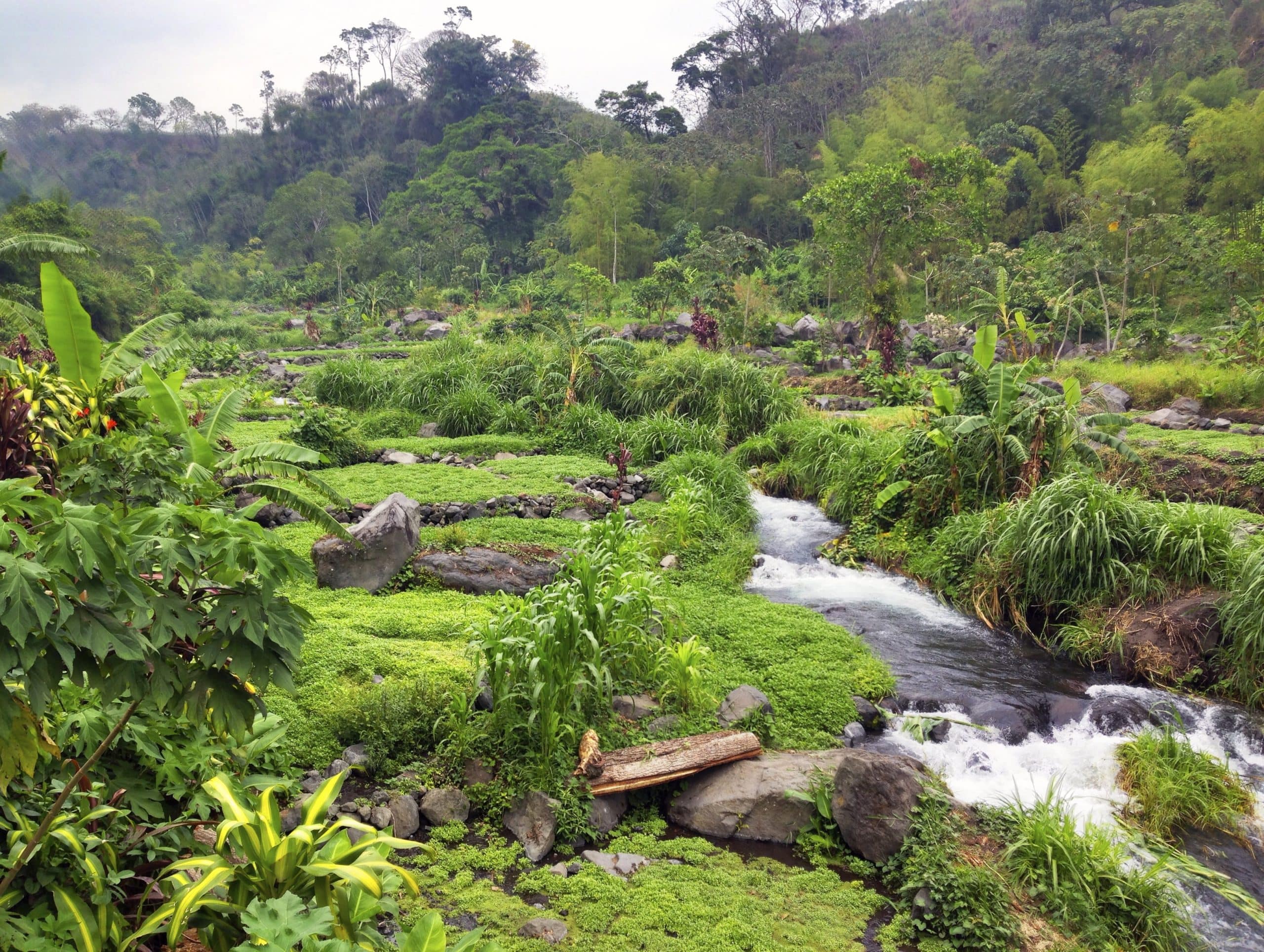 Permaculture-scaled - Copy-min