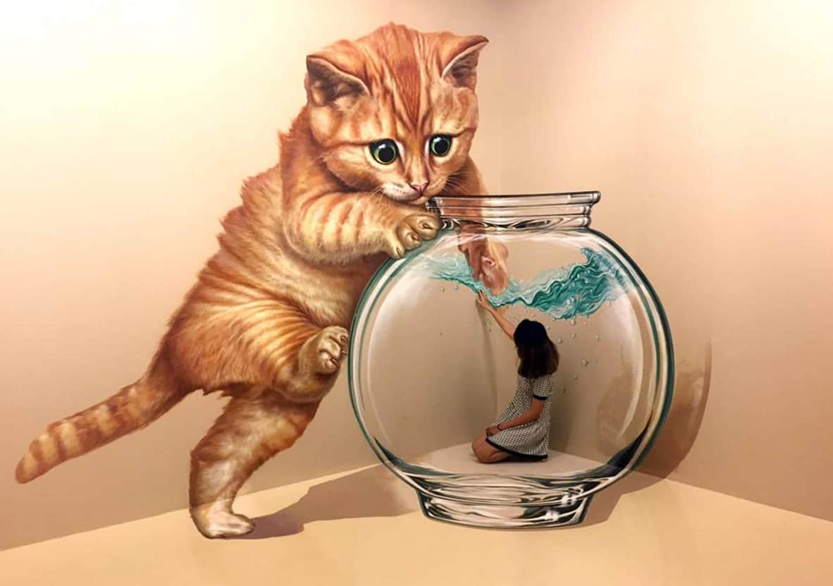 3d3