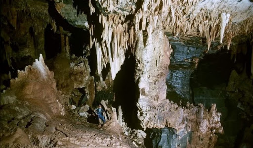 hang thẩm