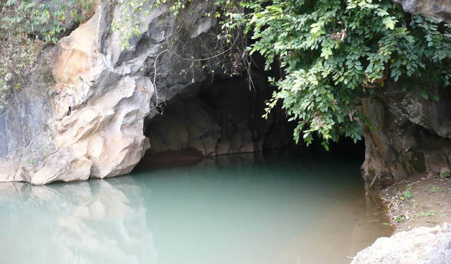 hangthamtettong