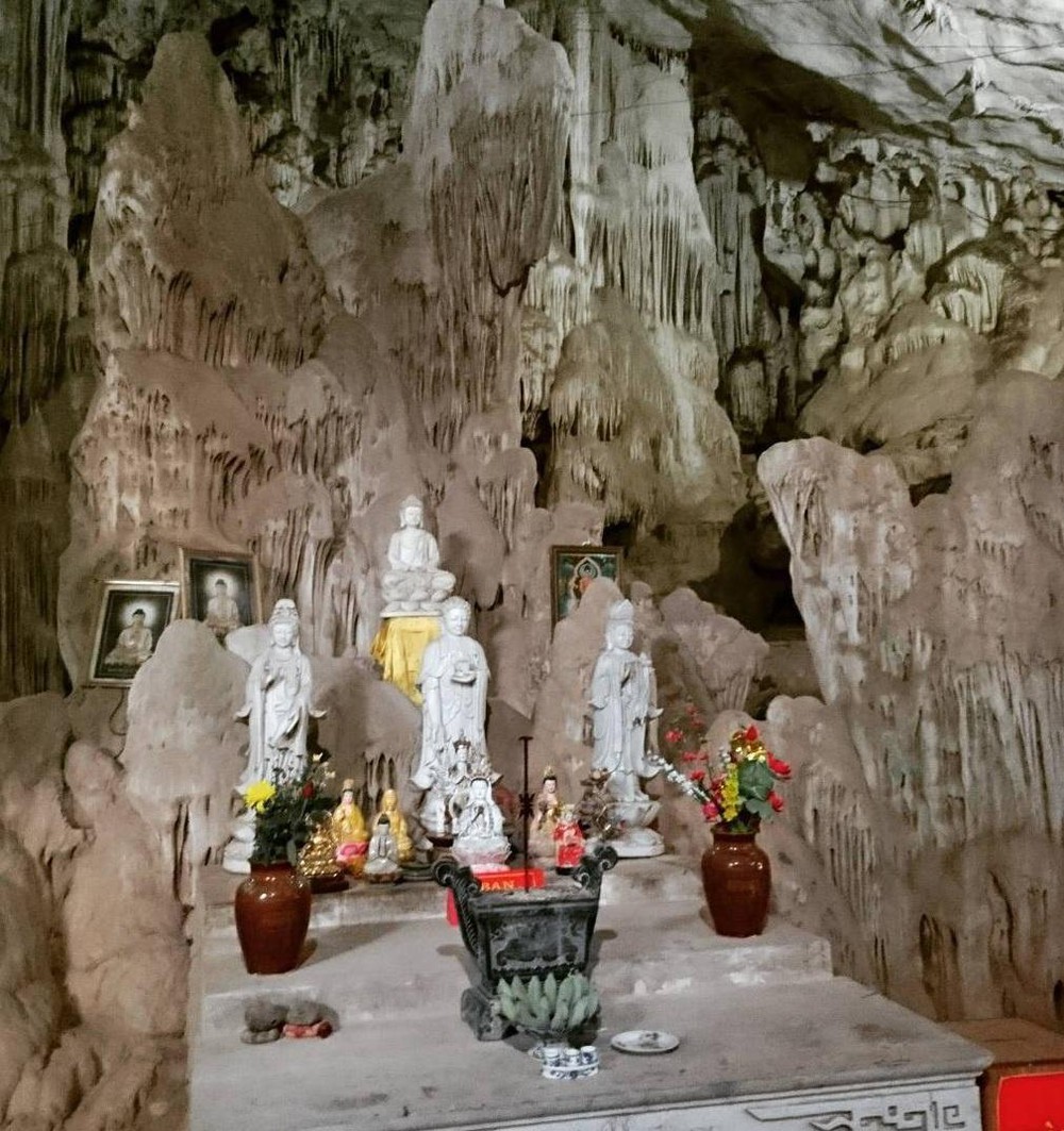động mộc hương