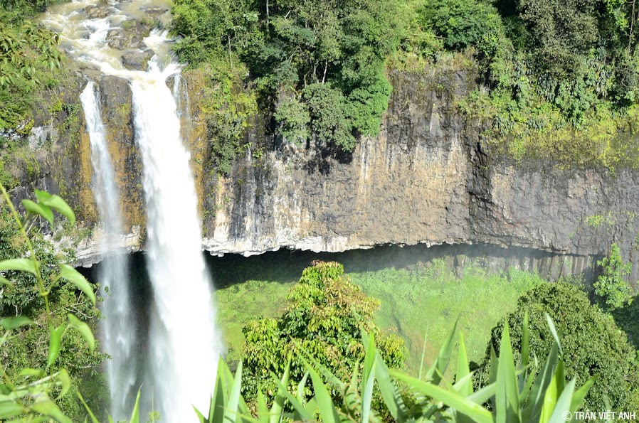 DSC 1481-1
