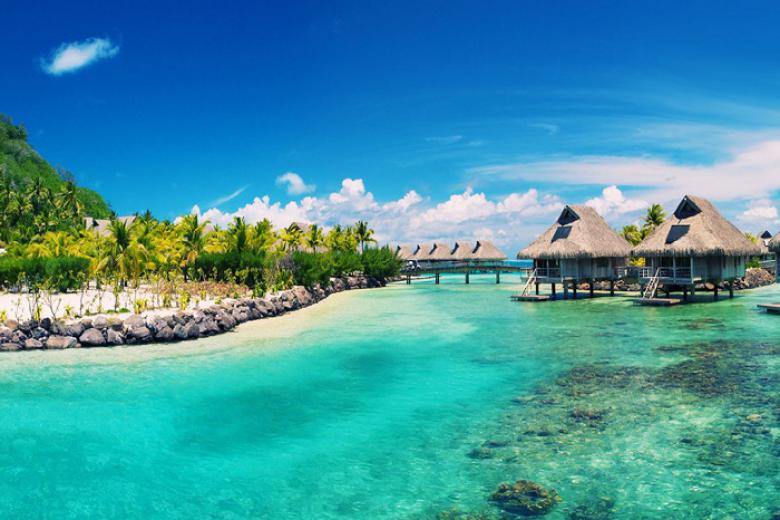 780 crop phu-quoc-he-2020