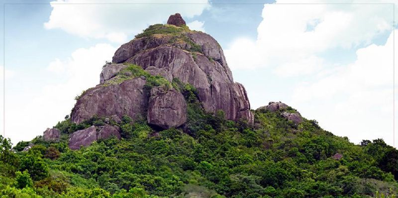H&Ograve;N CHU&Ocirc;NG - ĐI T&Igrave;M NGỌN TH&Aacute;P CHĂM B&Iacute; ẨN