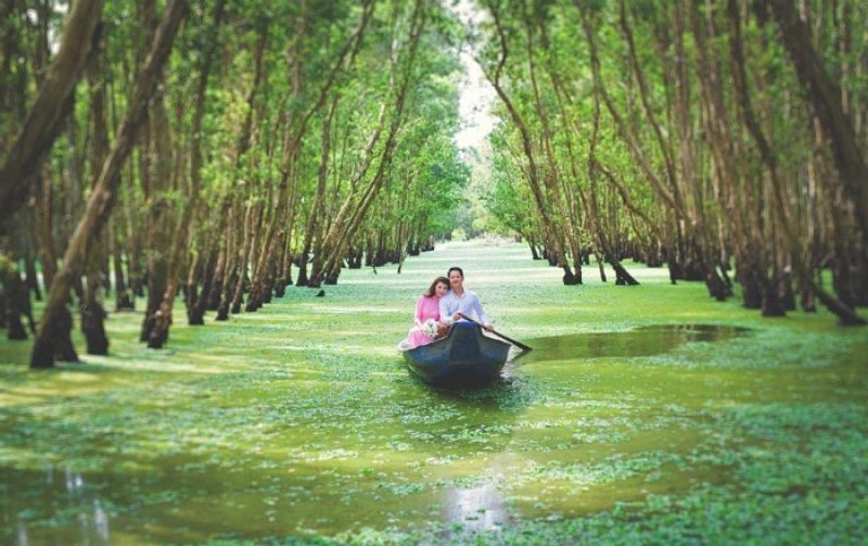 QUẦN ĐẢO B&Agrave; LỤA - RỪNG TR&Agrave;M TR&Agrave; SƯ