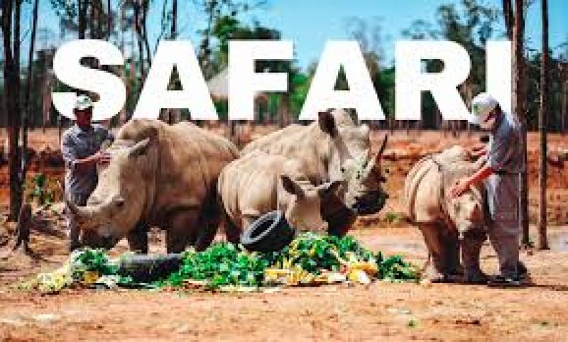 BA VƯỜN TH&Uacute; SAFARI Ở VIỆT NAM