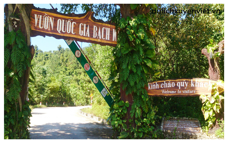 tham-quan-bach-ma-11