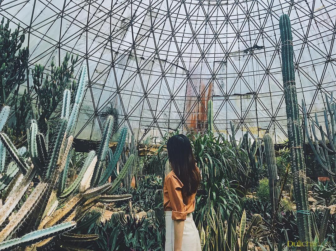 check-in-vuon-quoc-gia-ba-v-236-c-243-g-236-choi-c-243-n-234-n-tham-quan-vuon-quoc-gia-ba-v-236