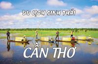 NHỮNG KHU DU LỊCH SINH TH&Aacute;I Ở CẦN THƠ PH&Ugrave; HỢP VỚI ECO TEAMBUILDING