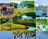11 ĐIỀU KH&Aacute;CH T&Acirc;Y Y&Ecirc;U TH&Iacute;CH Ở VIỆT NAM